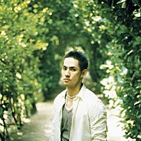 中孝介 「絆歌」