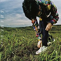 ＳＨＡＭＥ 「ｈｅｒｅ．」