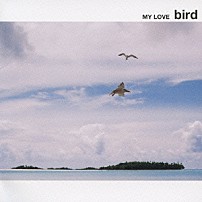 ｂｉｒｄ 「ＭＹ　ＬＯＶＥ」