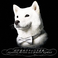 ホワイトオーケストラ 梅田俊明 朝川朋之 沼光絵理佳 アウラ Ｍｏｎｊｅｕ 「白戸家のクラシック音楽」