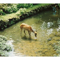 スピッツ「 若葉」