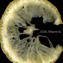 ＣＯＩＬ 「Ｖｉｔａｍｉｎ　Ｃ」