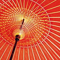 音速ライン 「風恋花凛」