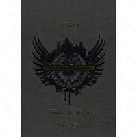 ステレオフォニックス「 ディケイド・イン・ザ・サン：ベスト・オブ・ステレオフォニックス」