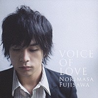 藤澤ノリマサ「 ＶＯＩＣＥ　ＯＦ　ＬＯＶＥ　～愛の力～」