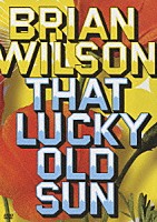 ブライアン・ウィルソン「 ラッキー・オールド・サンＤＶＤ」