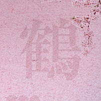 鶴 「桜」