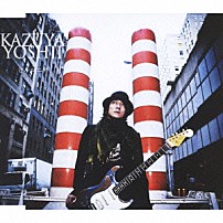 吉井和哉 「ビルマニア」