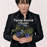 押尾コータロー 「Ｔｕｓｓｉｅ　ｍｕｓｓｉｅ（タッジーマッジー）」
