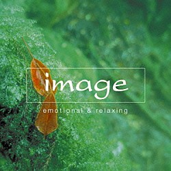 （オムニバス） カール・ジェンキンズ 葉加瀬太郎 ヨーヨー・マ 盤古２００１ 加古隆 羽毛田丈史 ゴンチチ「イマージュ　エモーショナル＆リラクシング」