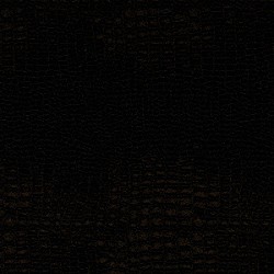 ＢＬＡＮＫＥＹ　ＪＥＴ　ＣＩＴＹ「ＢＬＡＮＫＥＹ　ＪＥＴ　ＣＩＴＹ　１９９７－２０００」