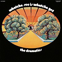 ザ・ドラマティックス「 ホワッチャ・シー・イズ・ホワッチャ・ゲット」