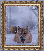 電気グルーヴ「 レオナルド犬プリオ」