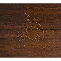 ｔａｃｉｃａ「 ｊａｃａｒａｎｄａ」