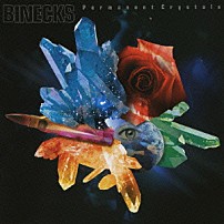 ＢＩＮＥＣＫＳ 「Ｐｅｒｍａｎｅｎｔ　Ｃｒｙｓｔａｌｓ」