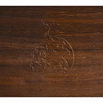 ｔａｃｉｃａ 「ｊａｃａｒａｎｄａ」