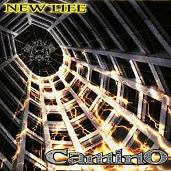 ｃａｍｉｎｏ「ＮＥＷ　ＬＩＦＥ」
