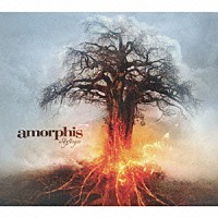 アモルフィス「 スカイフォージャー」