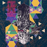 スージー＆ザ・バンシーズ「 ノクターン」