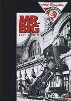 ＭＲ．ＢＩＧ「 リーン・イントゥ・イット」