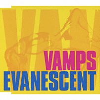 ＶＡＭＰＳ 「ＥＶＡＮＥＳＣＥＮＴ」