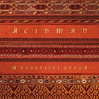 ＡＣＩＤＭＡＮ 「Ａ　ｂｅａｕｔｉｆｕｌ　ｇｒｅｅｄ」