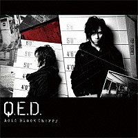 Ａｃｉｄ　Ｂｌａｃｋ　Ｃｈｅｒｒｙ「 Ｑ．Ｅ．Ｄ．」