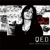Ａｃｉｄ　Ｂｌａｃｋ　Ｃｈｅｒｒｙ「 Ｑ．Ｅ．Ｄ．」