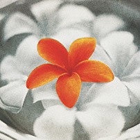 Ａｑｕａ　Ｔｉｍｅｚ 「プルメリア　～花唄～」