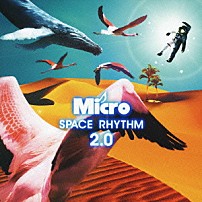 Ｍｉｃｒｏ 「ＳＰＡＣＥ　ＲＨＹＴＨＭ　２．０」