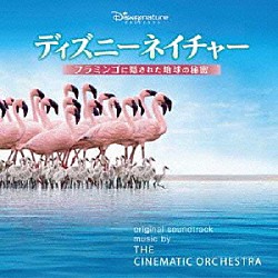 ザ・シネマティック・オーケストラ「ディズニーネイチャー／フラミンゴに隠された地球の秘密」
