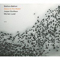 ステファノ・ボラーニ・トリオ「 ストーン・イン・ザ・ウォーター」