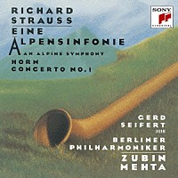 ズービン・メータ ベルリン・フィルハーモニー管弦楽団「 Ｒ．シュトラウス：アルプス交響曲／家庭交響曲　他」