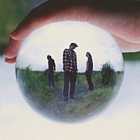 ＡＬｖｉｎｏ 「“ｃａｐｓｕｌｅ”」