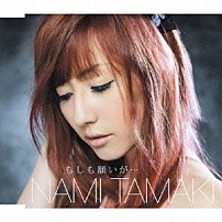 玉置成実 「もしも願いが…」