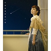 中島美嘉 「流れ星」
