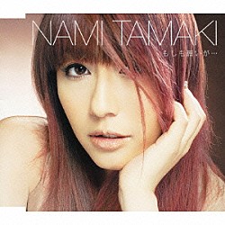 玉置成実「もしも願いが…」