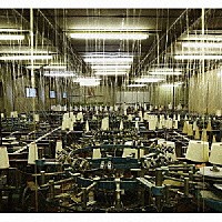 ｔｏｅ「 Ｆｏｒ　Ｌｏｎｇ　Ｔｏｍｏｒｒｏｗ」