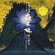 桃山晴衣「今様浄瑠璃　夜叉姫」
