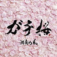 湘南乃風「 ガチ桜」