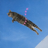 矢野顕子 「音楽堂」