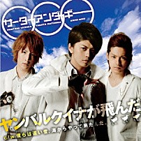サーターアンダギー 「ヤンバルクイナが飛んだ」