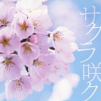 スケルト・エイト・バンビーノ「 サクラ咲ク」