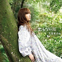 吉岡亜衣加「 散らない花」