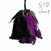 シド「 ｓｌｅｅｐ」