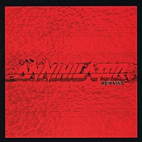 アナイアレイター「 リメインズ」