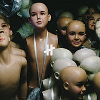 カリ≠ガリ 「≠」