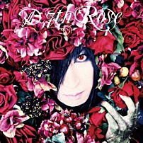Ｄ 「７ｔｈ　Ｒｏｓｅ」