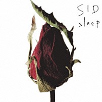 シド 「ｓｌｅｅｐ」