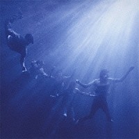 フォールズ「 トータル・ライフ・フォーエヴァー」